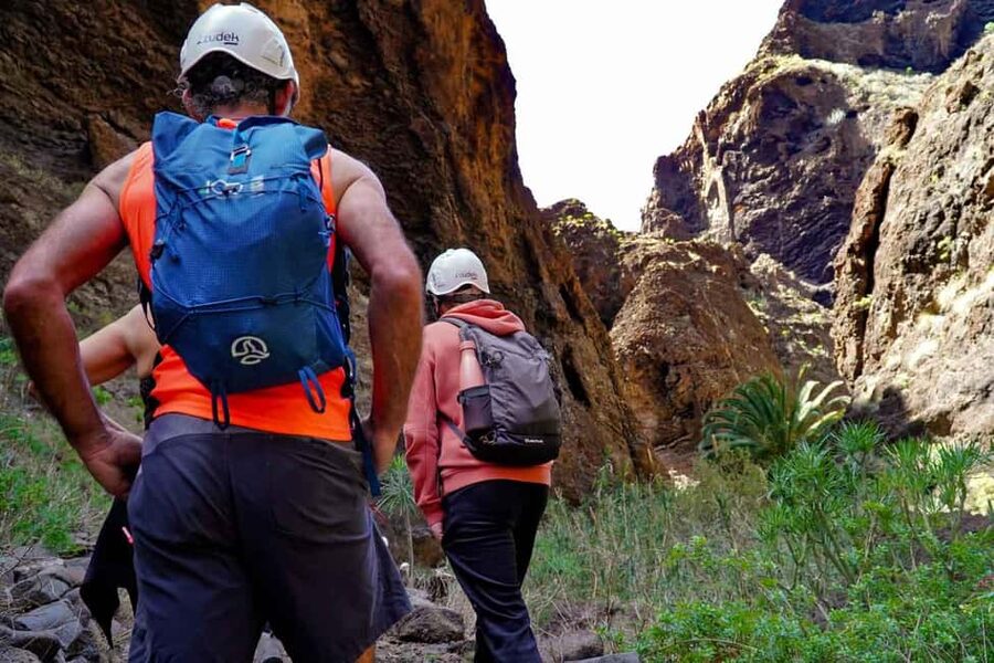 Tenerife Barranco de Masca: Guided hike + boat ride + transport - The 20-minute boat ride beneath Los Gigantes