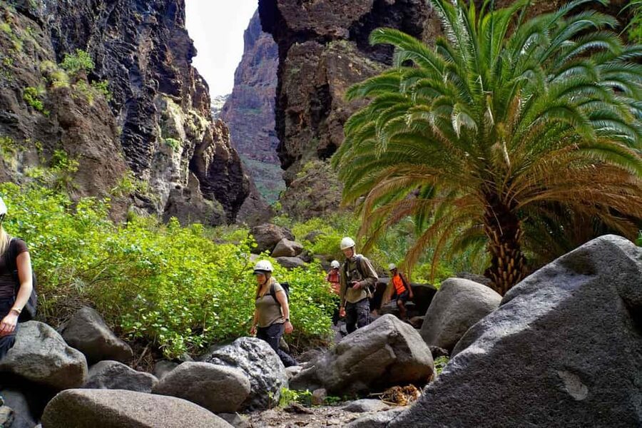 Tenerife Barranco de Masca: Guided hike + boat ride + transport - What happens at Masca before the descent