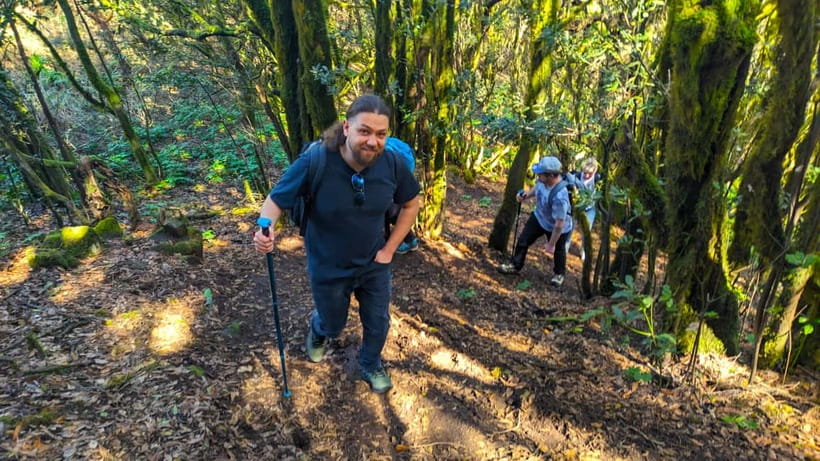 Tenerife: Hike Above Masca in Enchanted Forest with Pick-up - Key points at a glance