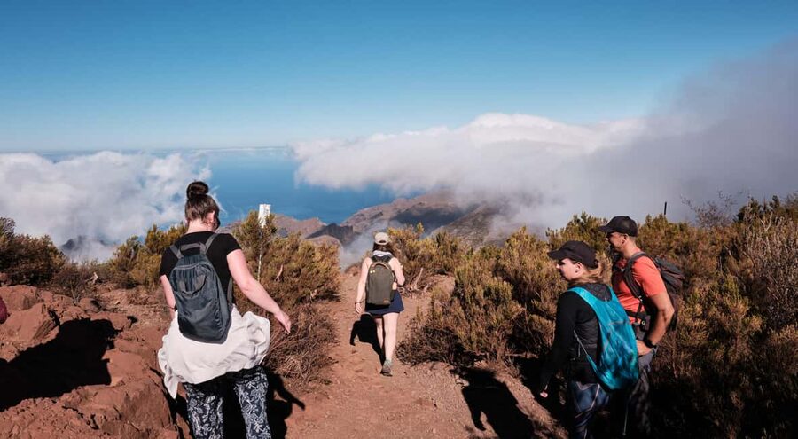 Tenerife: Hike Above Masca in Enchanted Forest with Pick-up - Starting among pine trees and volcanic views