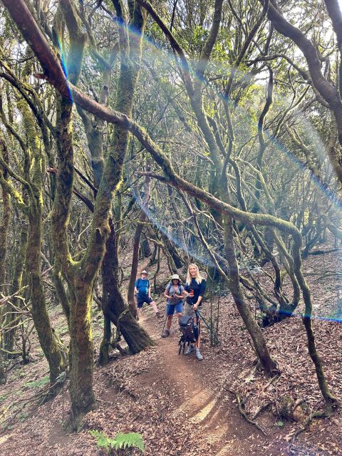 Tenerife: Hike Above Masca in Enchanted Forest with Pick-up - The guide makes the difference