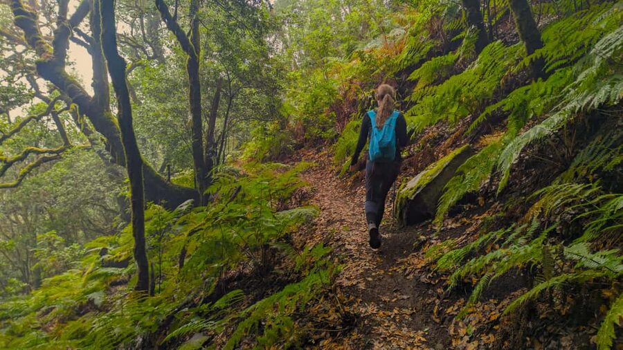 Tenerife: Hike Above Masca in Enchanted Forest with Pick-up - The pickup from Tenerife South