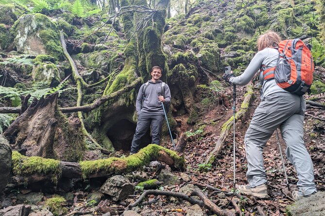 Tenerife: Hiking through Enchanted forest Above Masca with PICKUP - Why this Masca hike feels different from a standard Tenerife outing