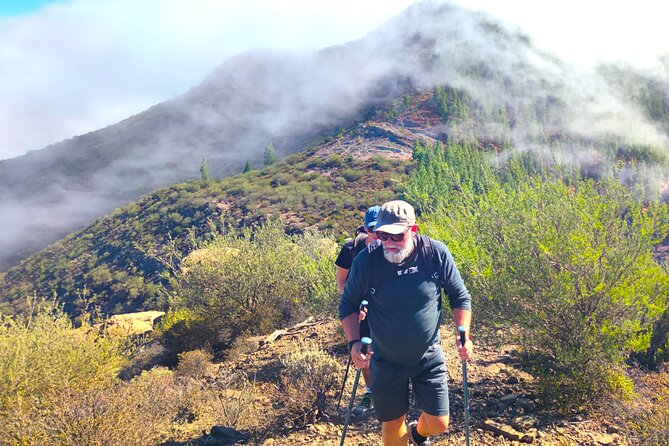 Tenerife: Hiking through Enchanted forest Above Masca with PICKUP - Entering the misty laurel forest