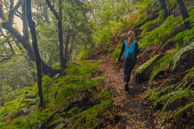 Tenerife: Hiking through Enchanted forest Above Masca with PICKUP - The 9 a.m. pickup and small-group setting