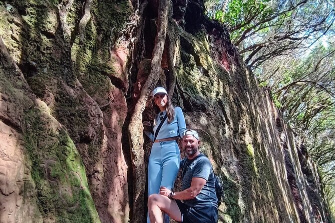 Tenerife: Hiking Tour in Anaga Mountains and Enchanted Forest - At a glance