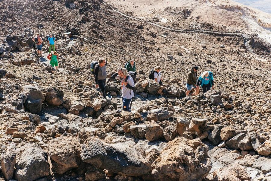 Tenerife: Mount Teide Summit Hiking Adventure with Cable Car - How the $160 price measures up