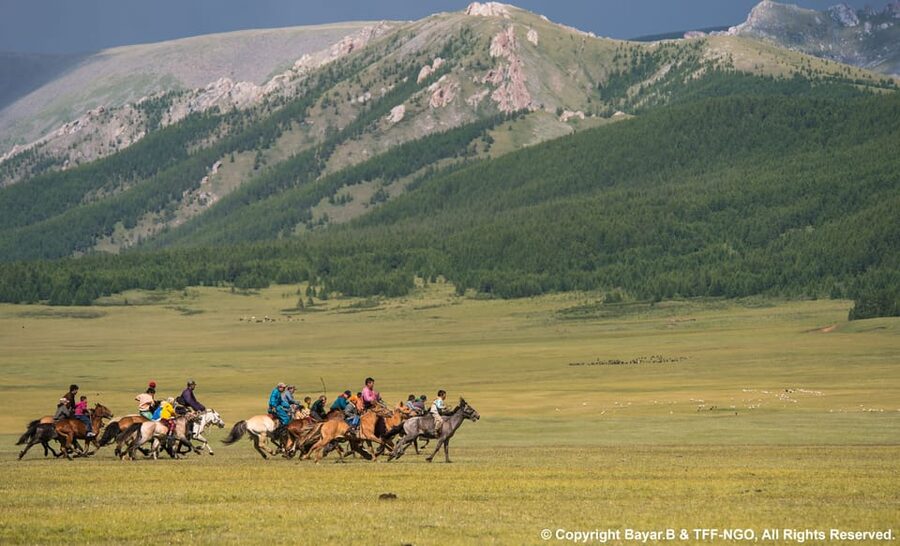 Flex Riding Terelj National Park: Tour with horse riding and hiking – Hiking Tour Guide