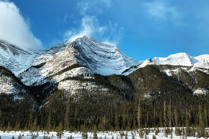 The BANFF NATURE Walk - 2hr Adventure - The Value of the $81.56 Price