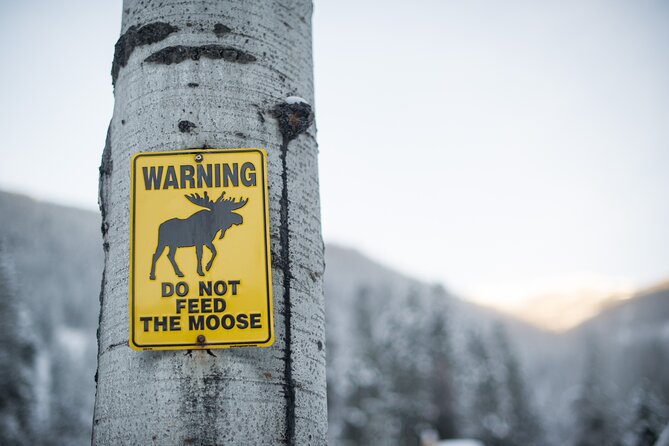 The BANFF NATURE Walk - 2hr Adventure - Weather Can Change the Plan