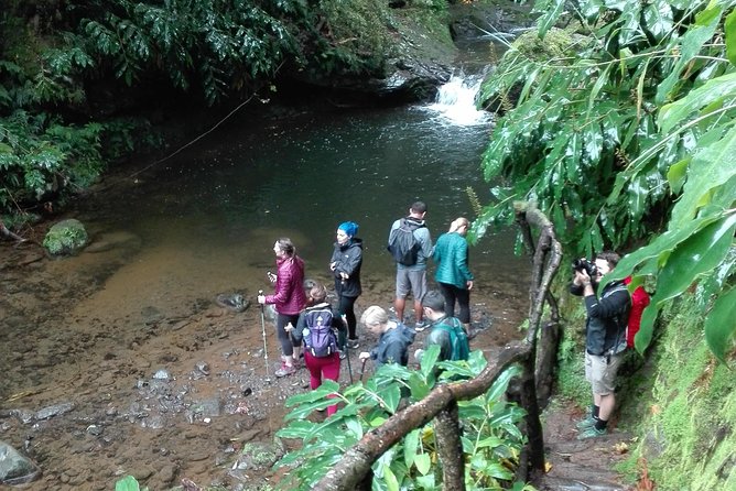 The Great waterfalls Hiking tour - Lunch and the change of pace