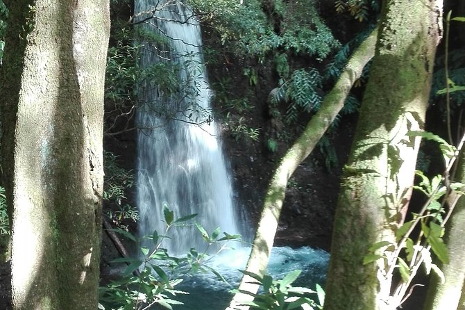 The Great waterfalls Hiking tour - Starting along São Miguel’s north coast