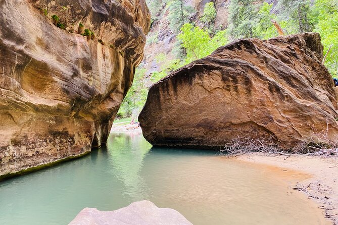 The Narrows: Zion National Park Private Guided Hike - The guide makes the difference
