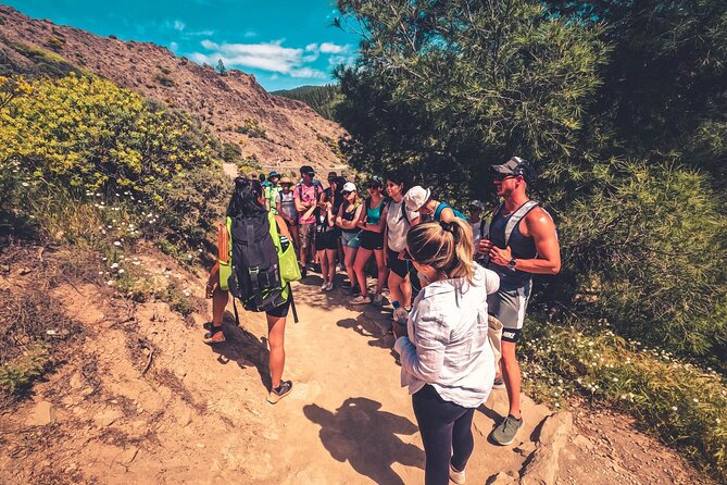 The Volcano Heart Tour: Hiking, Tasting and Sunset Experience - Cruz de Tejeda combines views with local flavor