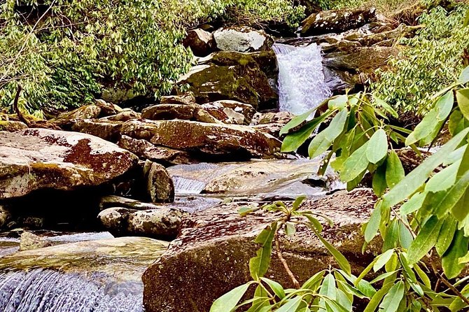 Thundering Streams and Falls of the Smokies Guided Hiking Tour - Key points to know before you book