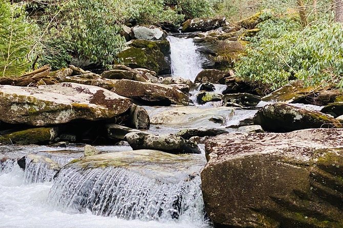 Thundering Streams and Falls of the Smokies Guided Hiking Tour - Why this hike feels different from a standard waterfall stop