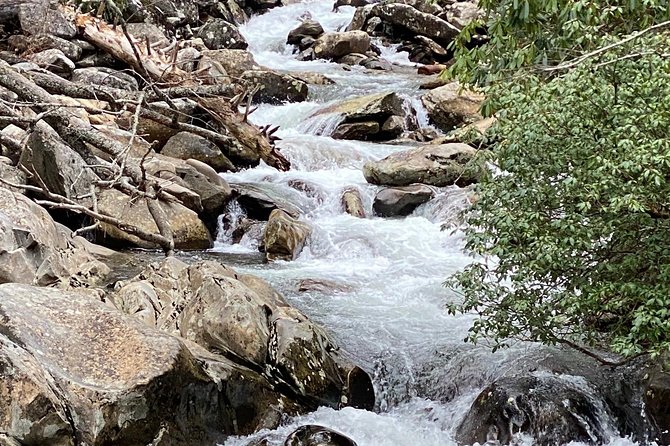 Thundering Streams and Falls of the Smokies Guided Hiking Tour - Timing, weather, and route changes