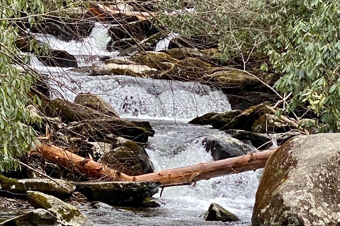 Thundering Streams and Falls of the Smokies Guided Hiking Tour - Starting at Sugarlands Visitor Center
