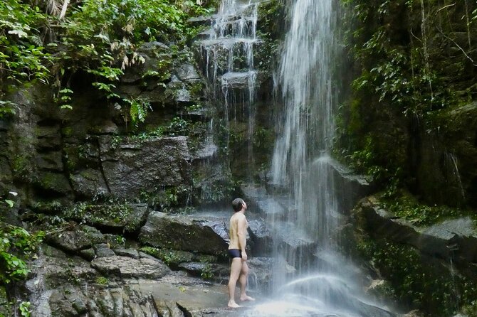 Tijuca Forest Hike - Waterfalls & Caves, Nature & Wild Life! - What the 5.5-mile route feels like
