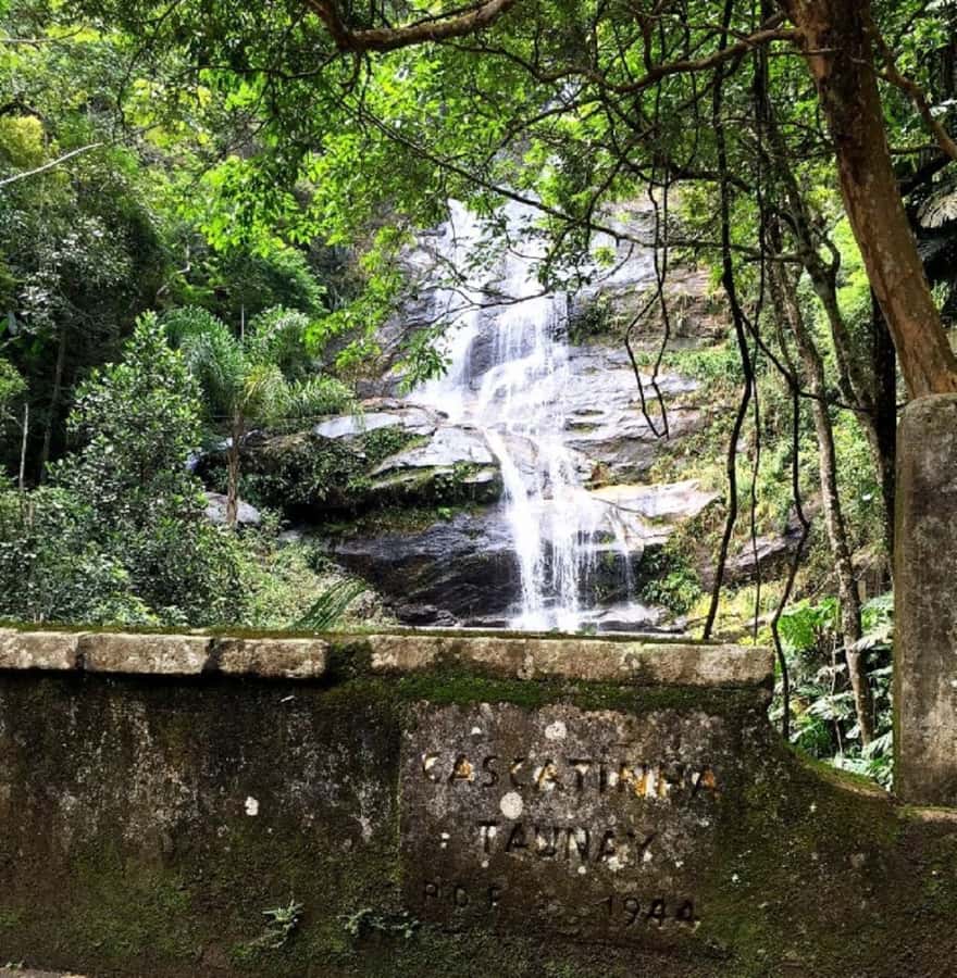 Tijuca Forest´s hike: caves, waterfalls and great views - Why Tijuca Forest Makes a Strong Half-Day Escape