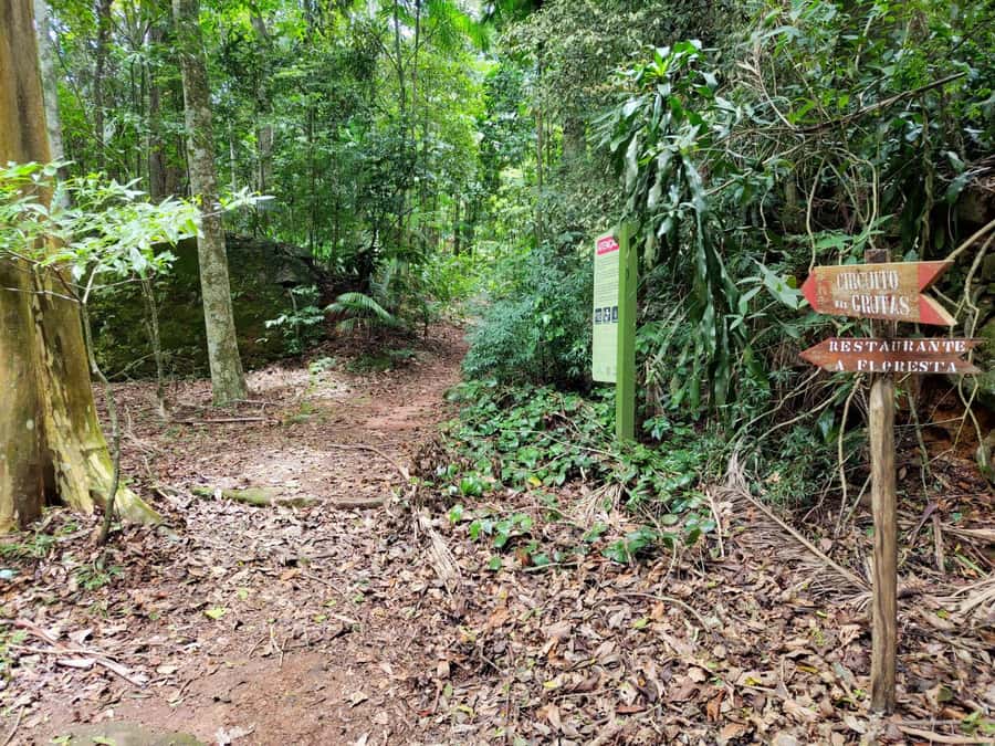 Tijuca Forest´s hike: caves, waterfalls and great views - Caves, Rock Formations, and Clear Streams