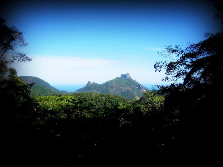 Tijuca Forest´s hike: caves, waterfalls and great views - What the Guides Add