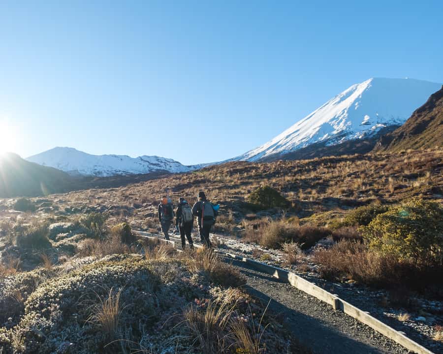 Tongariro Alpine Crossing: Premium Guided Hike - Key points to know before booking