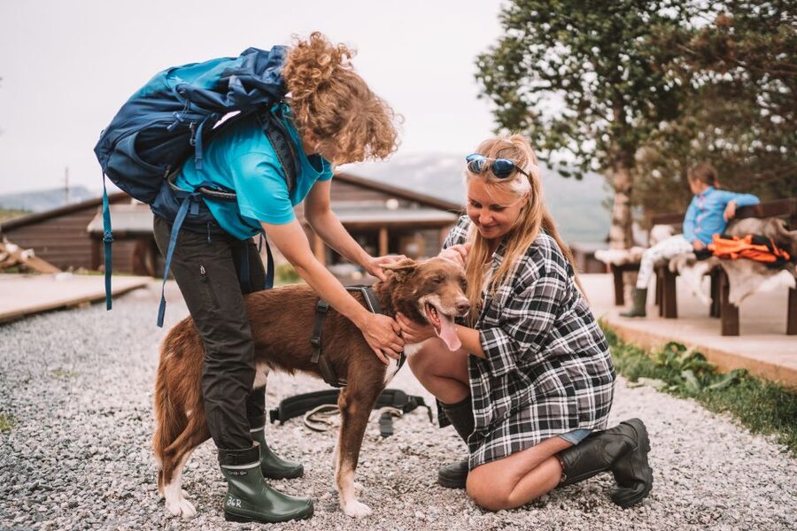 Tromsø: Husky Hike and Puppy Visit with Traditional Lunch - Puppies, cuddles, and a little chaos