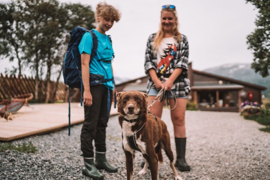 Tromsø: Husky Hike and Puppy Visit with Traditional Lunch - Is the $172 price good value?