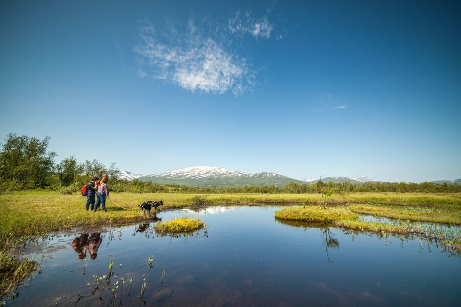 Tromsø: Husky Hike and Puppy Visit with Traditional Lunch - Who should book this experience?