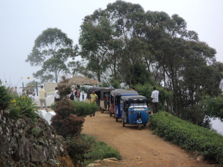 Tuk-Tuk Safari Liptons seat,Tea Fields Hike,TeaFactory Tour - My Take on the Best Parts