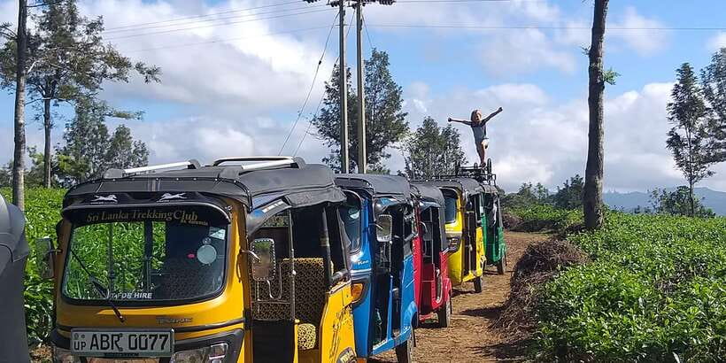 Tuk-Tuk Safari Liptons seat,Tea Fields Hike,TeaFactory Tour - A Picnic With a Weather Plan