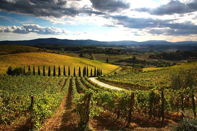 Tuscany Hiking Tour from Siena Including Wine Tasting - Walking an old road from Siena to Monteriggioni