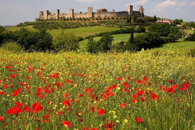 Tuscany Hiking Tour from Siena Including Wine Tasting - Monteriggioni, the medieval finish