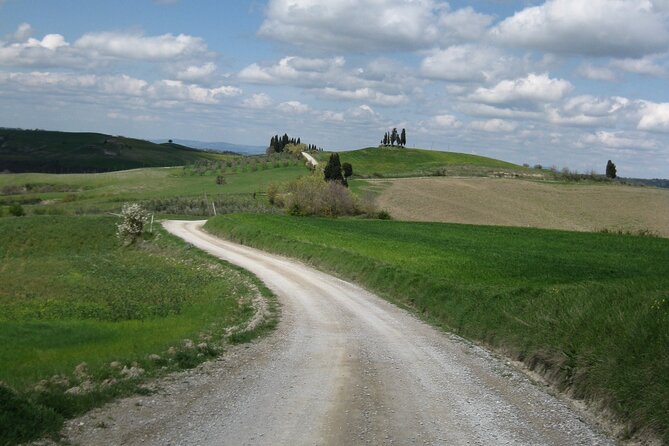 Tuscany Hiking Tour from Siena Including Wine Tasting - Tuscan scenery without the tour-bus window
