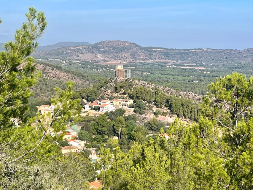 Valencia: Sierra Calderona & El Garbí Mountain hiking Tour - What the $100 price buys you