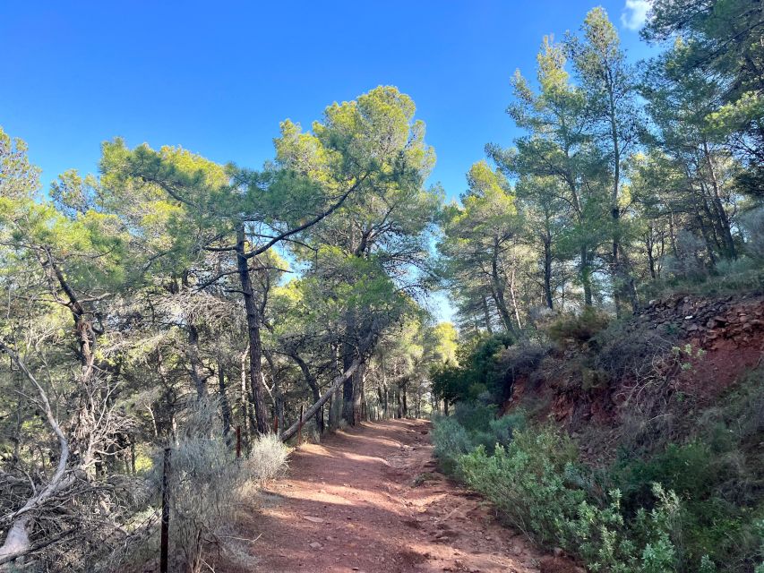 Valencia: Sierra Calderona & El Garbí Mountain hiking Tour - Beselga Castle and ninth-century waterworks