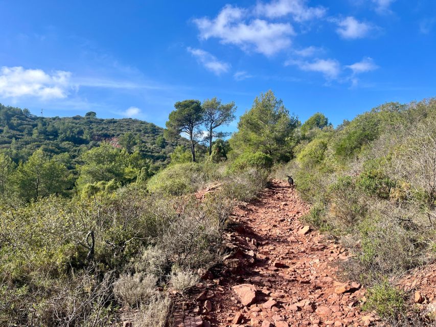 Valencia: Sierra Calderona & El Garbí Mountain hiking Tour - Two route options near Font de Barraix