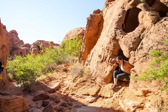 Valley of Fire Guided Hike from Las Vegas - Fire Wave and the park’s famous color