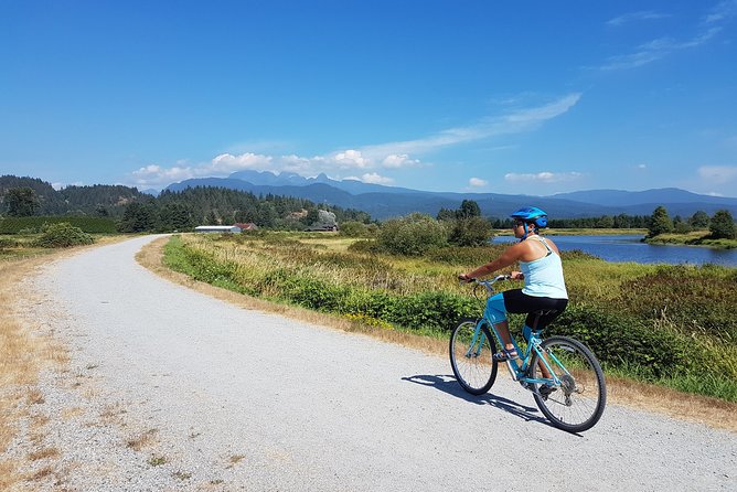 Vancouver Biking and Hiking Tour including Lunch - Lynn Canyon’s suspension bridge and rainforest trail