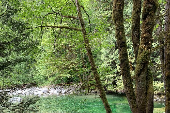 Vancouver Rainforest Hike with Waterfalls, Suspension Bridge, Old Growth Forest - Adrian’s guiding style and the small-group difference