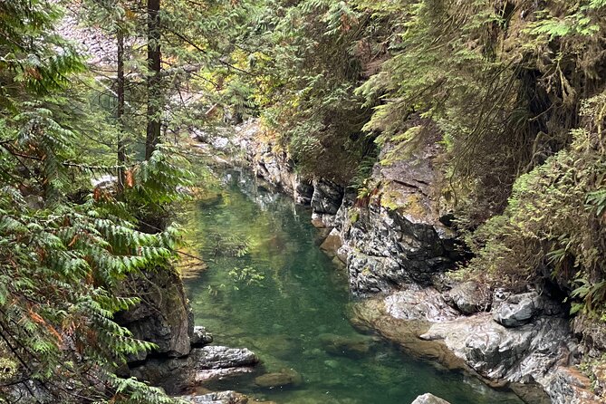 Vancouver Rainforest Hike with Waterfalls, Suspension Bridge, Old Growth Forest - What to wear and bring