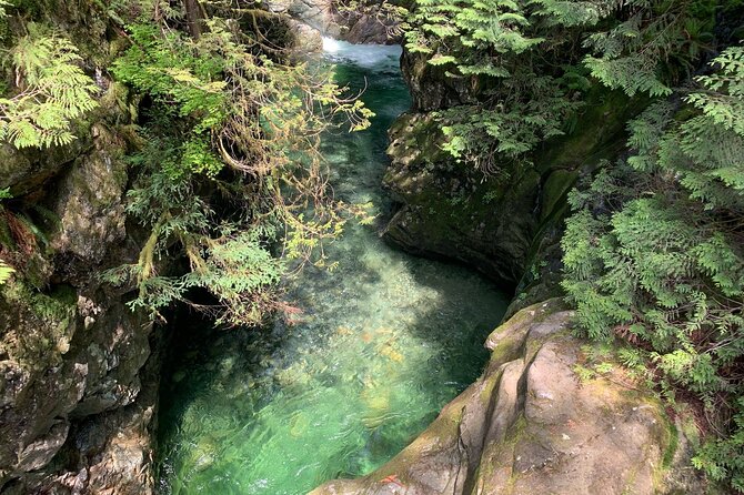 Vancouver Rainforest Hike with Waterfalls, Suspension Bridge, Old Growth Forest - Who should book this outing?