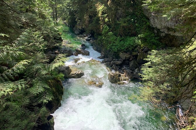Vancouver Rainforest Hike with Waterfalls, Suspension Bridge, Old Growth Forest - Twin Falls, pools, and creekside trails
