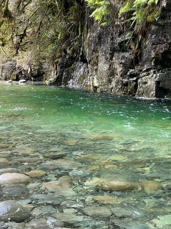 Vancouver: Rainforest Waterfall Hike and Suspension Bridge - Key points to know before booking