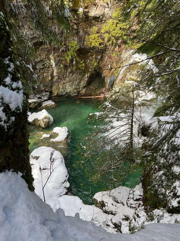 Vancouver: Rainforest Waterfall Hike and Suspension Bridge - From your hotel to the Lynn Canyon trailhead