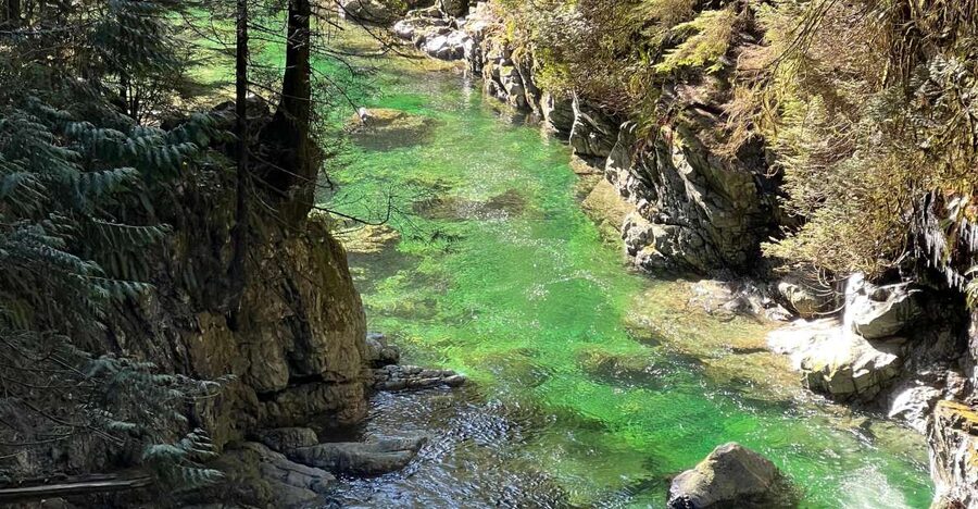 Vancouver: Rainforest Waterfall Hike and Suspension Bridge - The suspension bridge and the stair sections