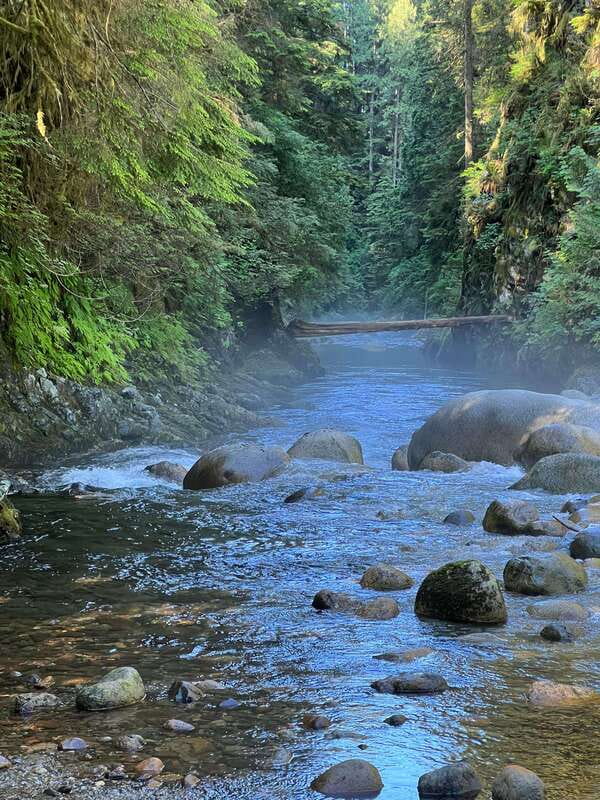 Vancouver: Rainforest Waterfall Hike and Suspension Bridge - Rainy weather is part of the calculation