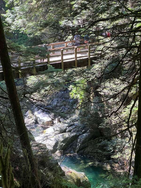 Vancouver: Rainforest Waterfall Hike and Suspension Bridge - Who should book this hike?