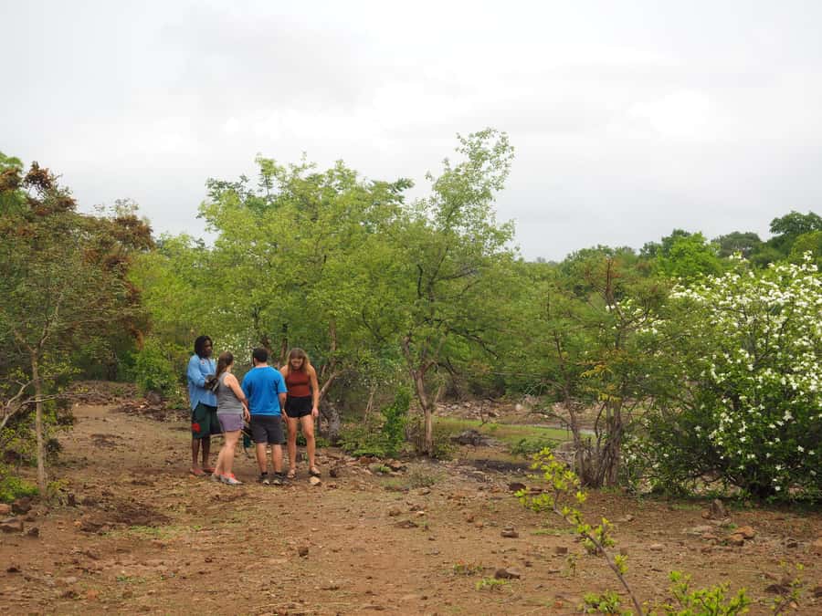 Victoria Falls Gorge Hike & Farm to Table Village Lunch - Should you book the Batoka Gorge hike?